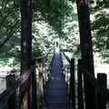 Sheltowee Trace Bridge, Red River Gorge